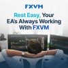 FXVM.net — Premium Low-Latency Forex VPS